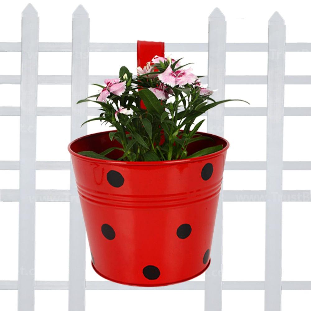 Red_355fce59-6577-44e7-9e25-0fa580b2089b.jpg