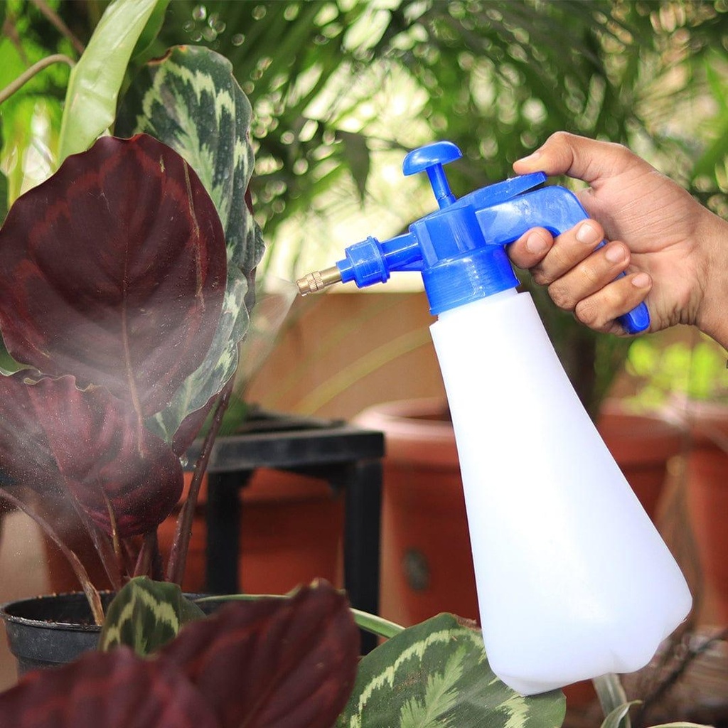 Bluesprayer_primaryimage_1.jpg