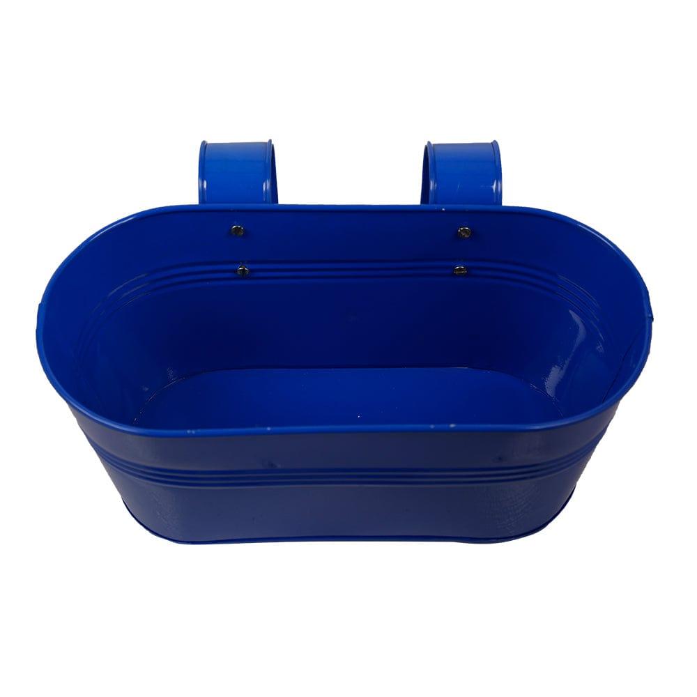 Blue1.jpg
