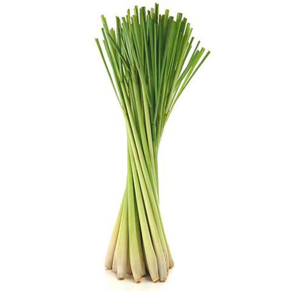Lemon-Grass.jpg