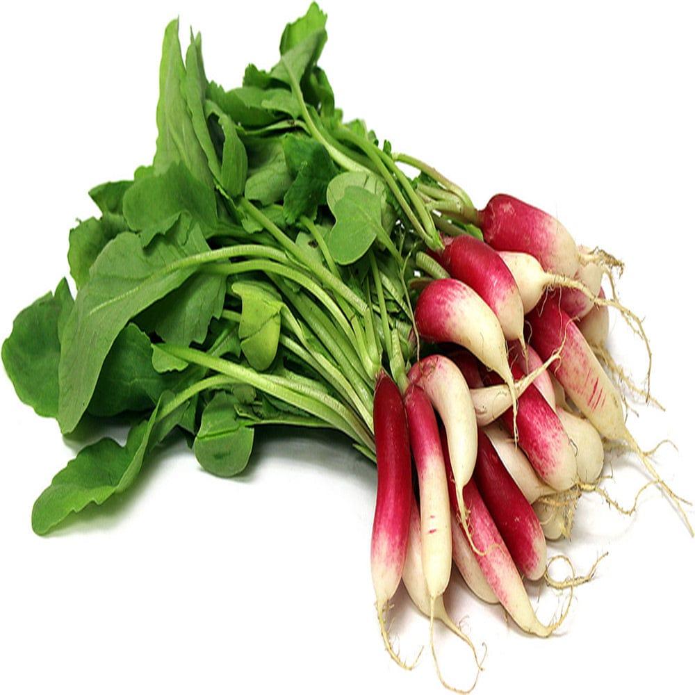 Radish-red-and-white.jpg