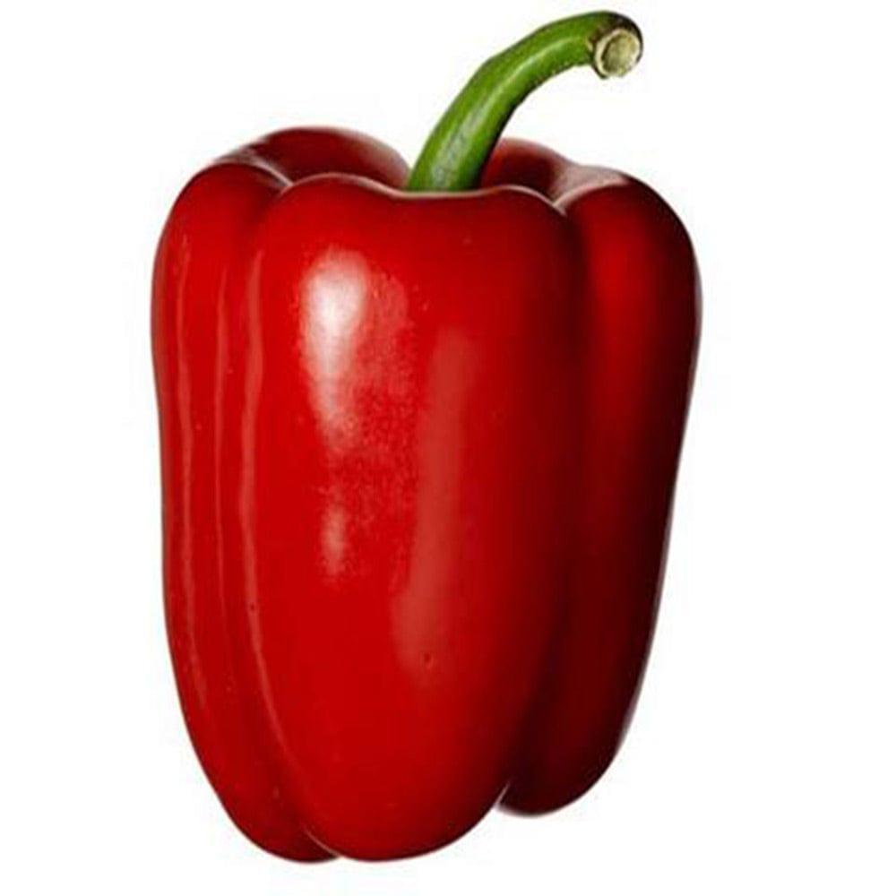 Capsicum-Red.jpg