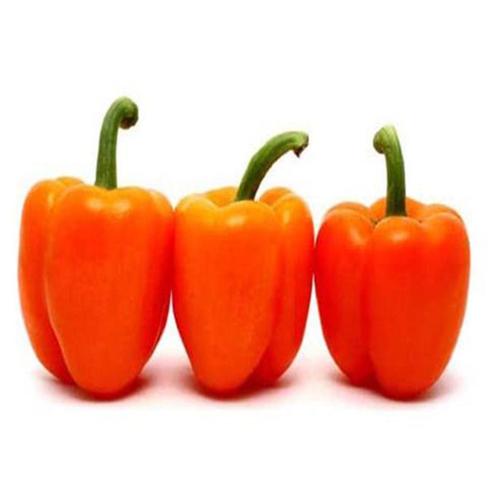 Capsicum-Orange.jpg