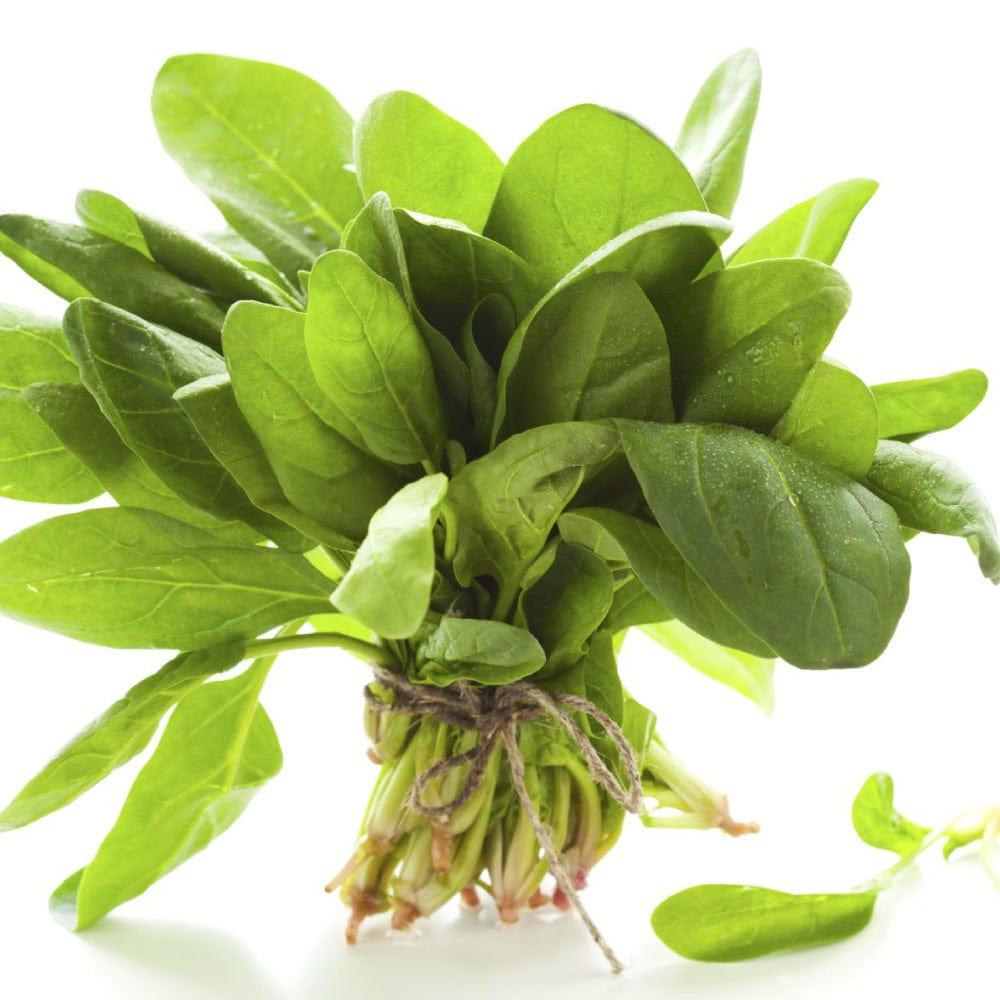 palak_spinach.jpg