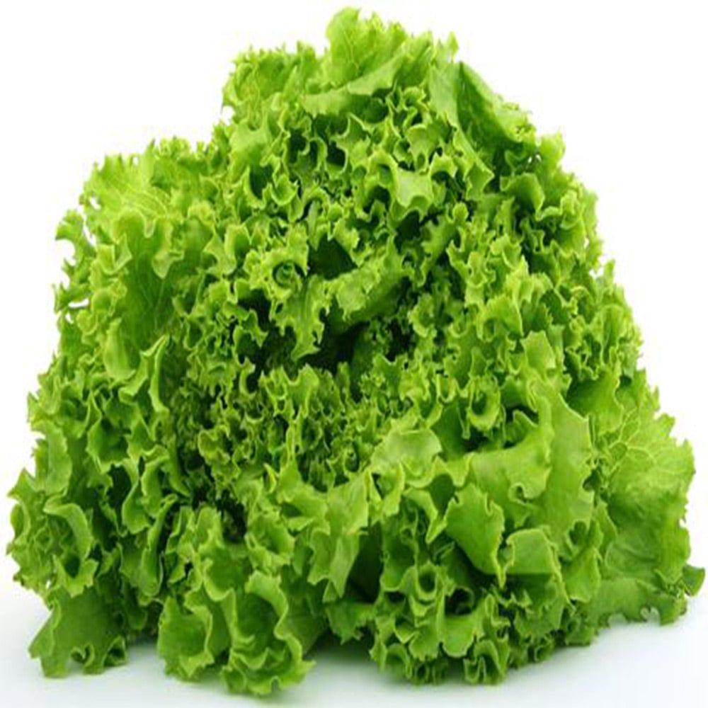 lettuce_7f4f9610-8f63-4565-be6d-1282bb242bf5.jpg