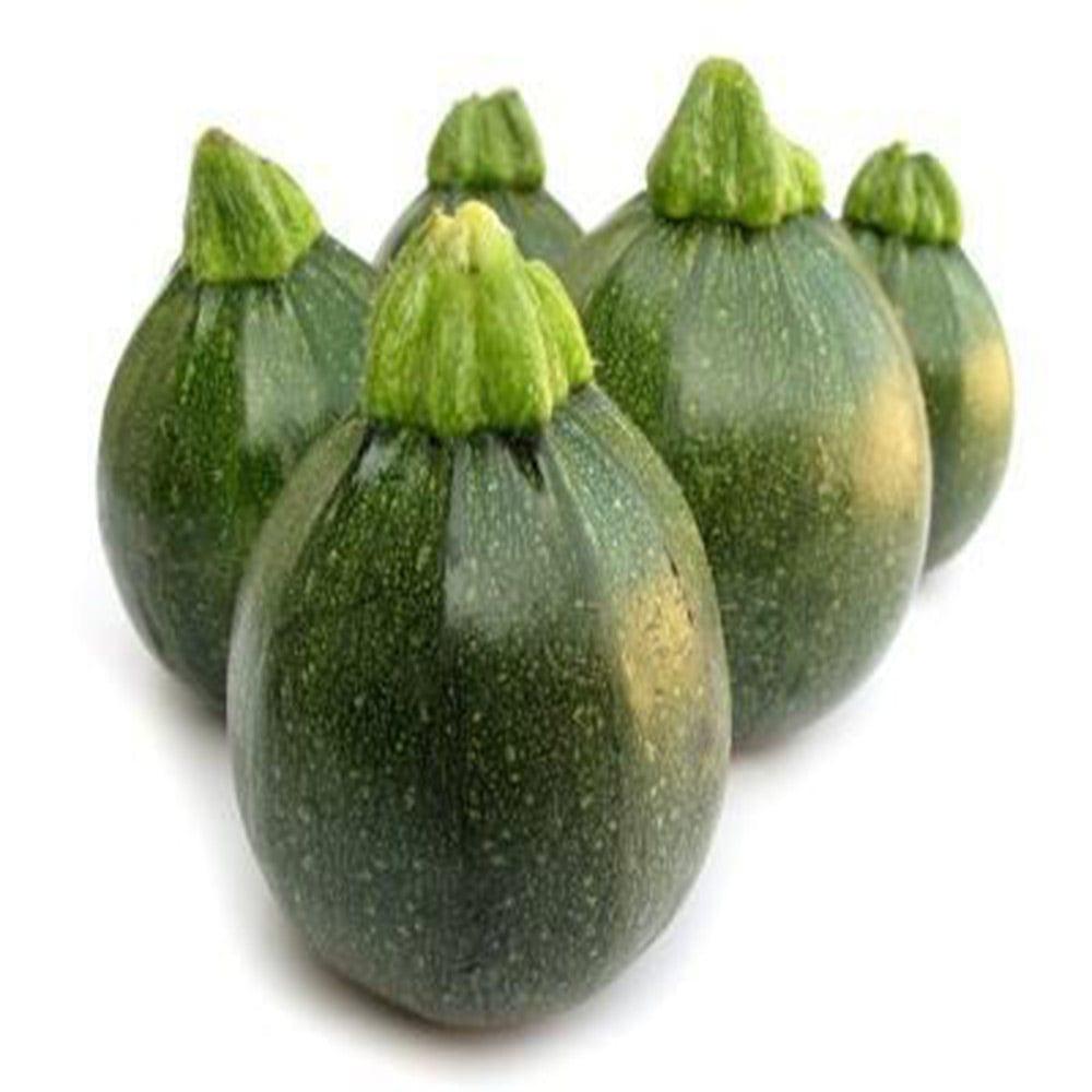 Summer-Squash_e46af964-e305-4942-a66d-0d85127a902b.jpg