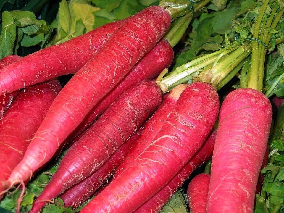 red-radish-2089115_960_720.jpg