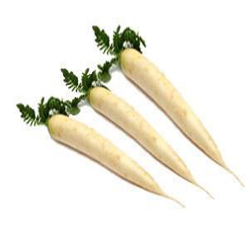 Radish.jpg