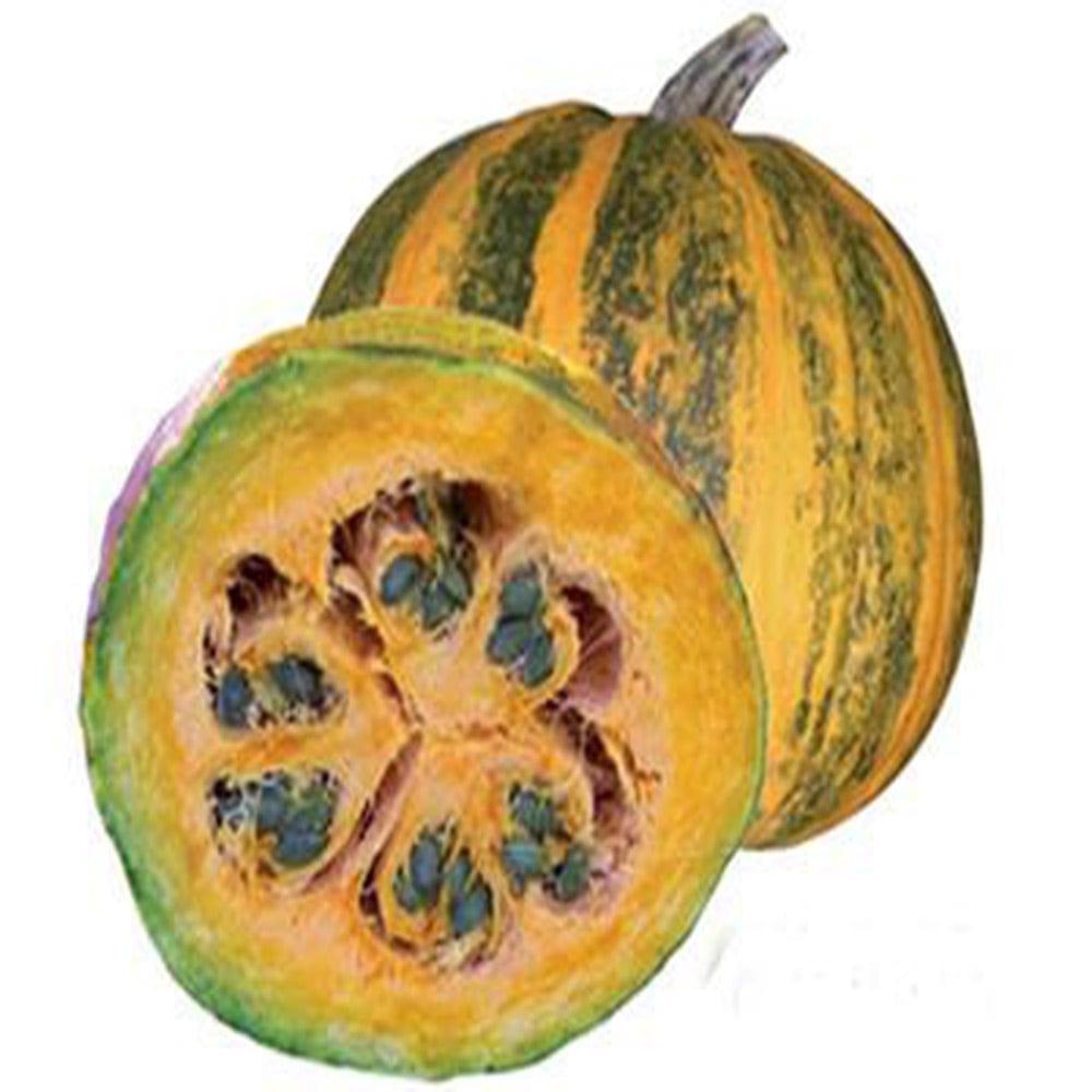 Pumpkin_cc747127-a3bd-4dc7-9e21-a246d8a16e84.jpg