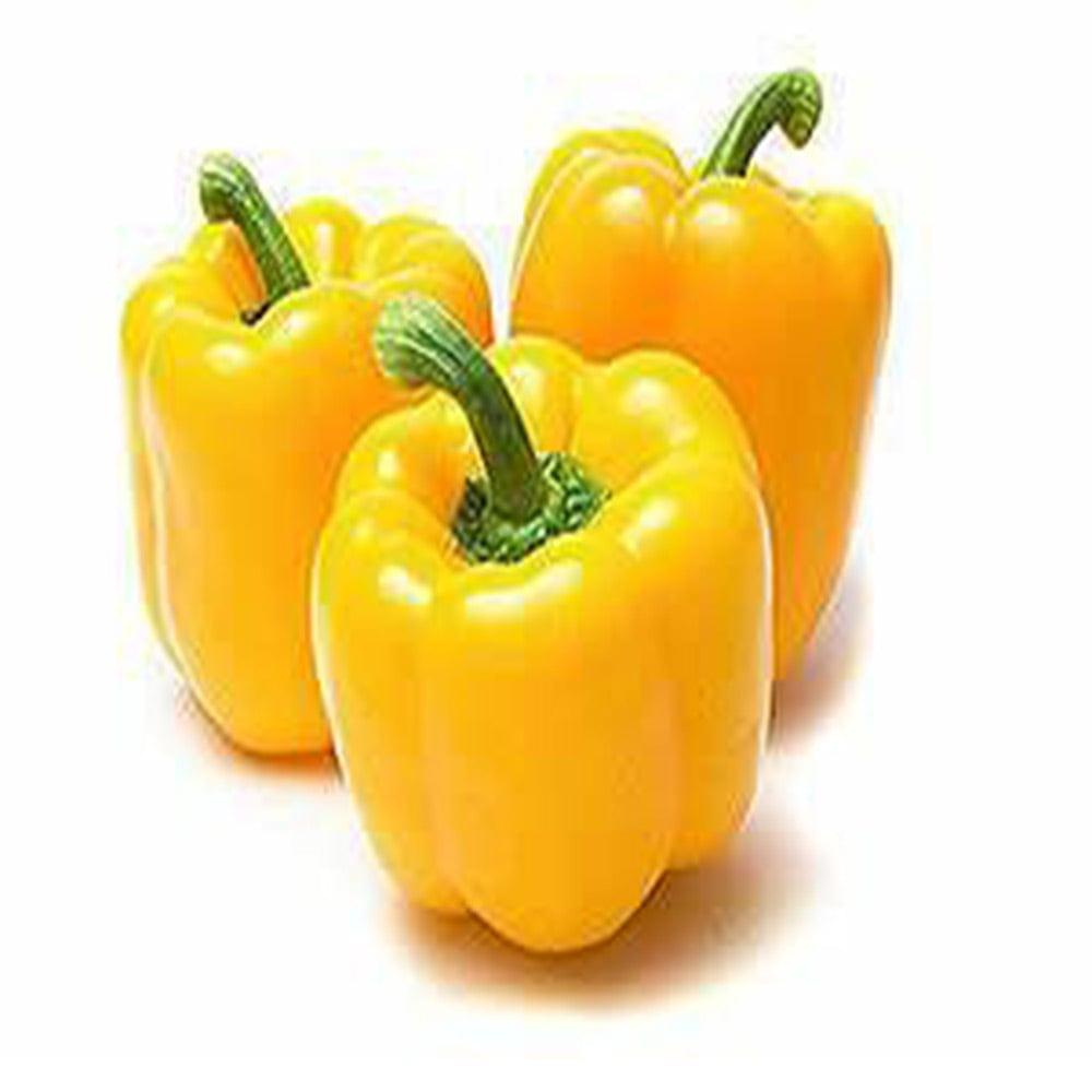 Yellow-Capsicum-seeds.jpg