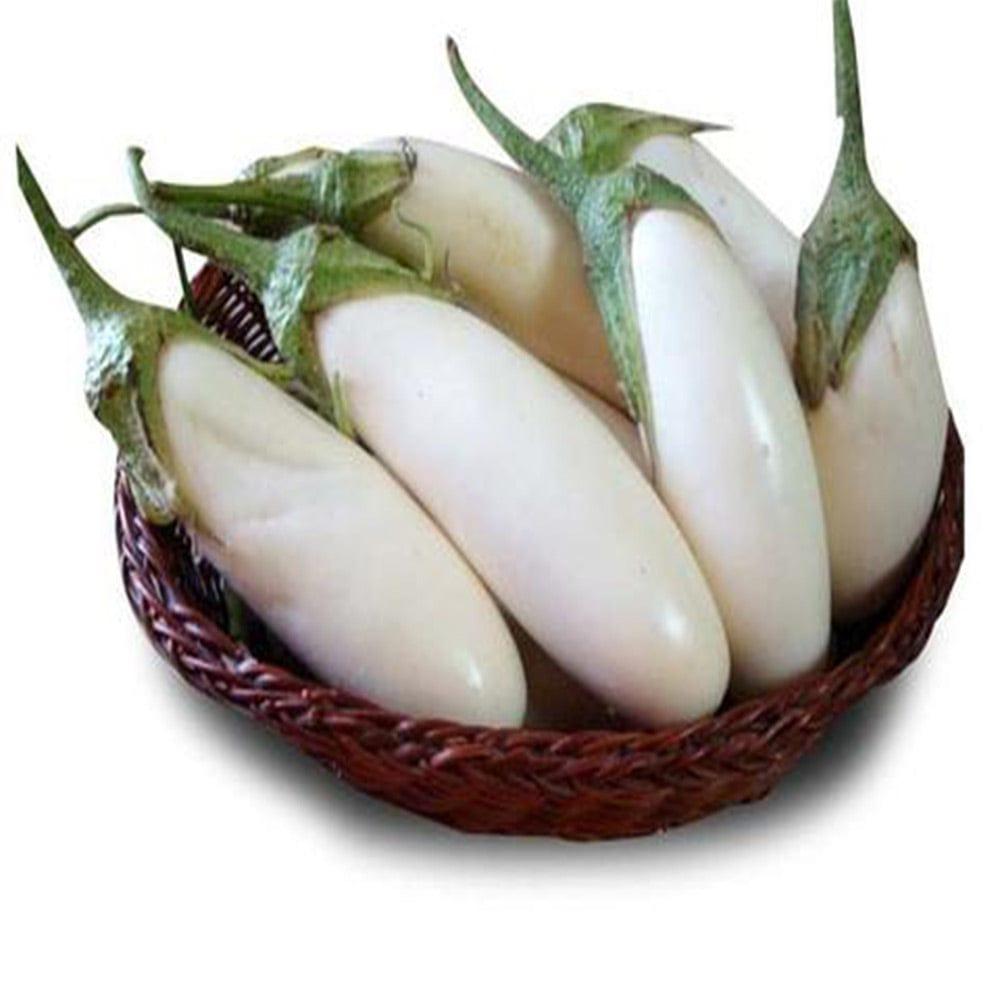 Brinjal-White.jpg