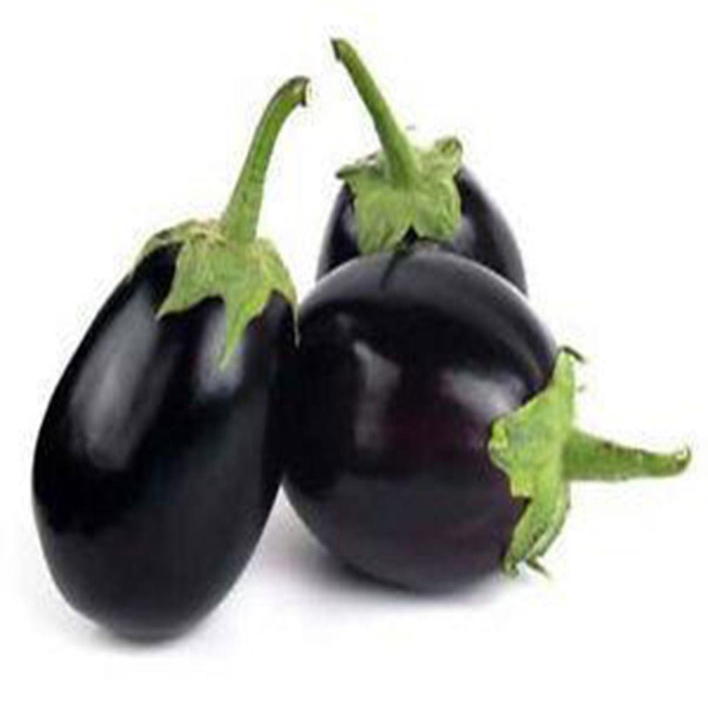 Purple-Brinjal-round.jpg