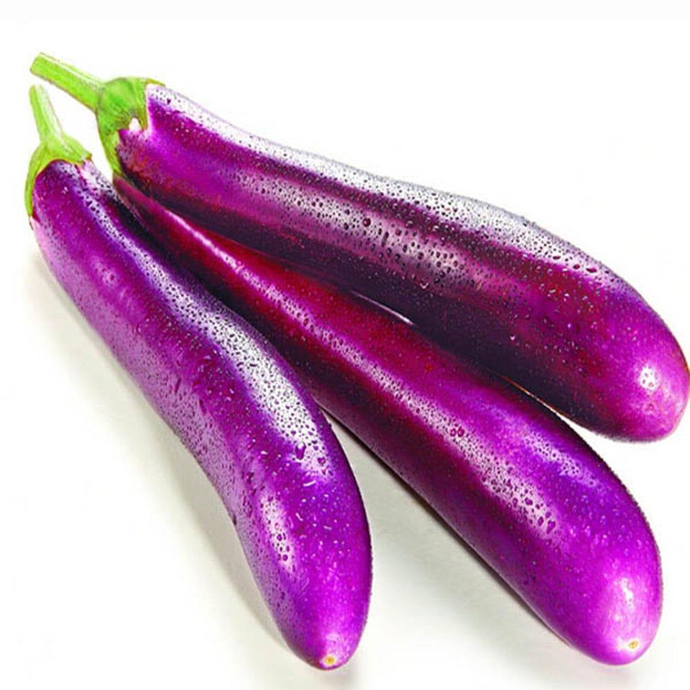 Brinjal-Purple.jpg