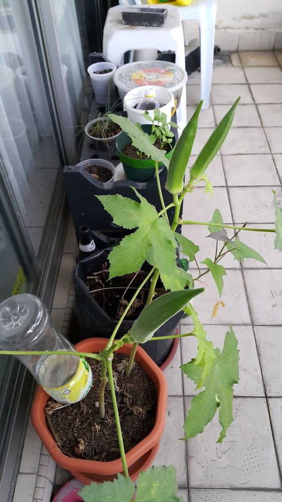 20151101_155915.jpg