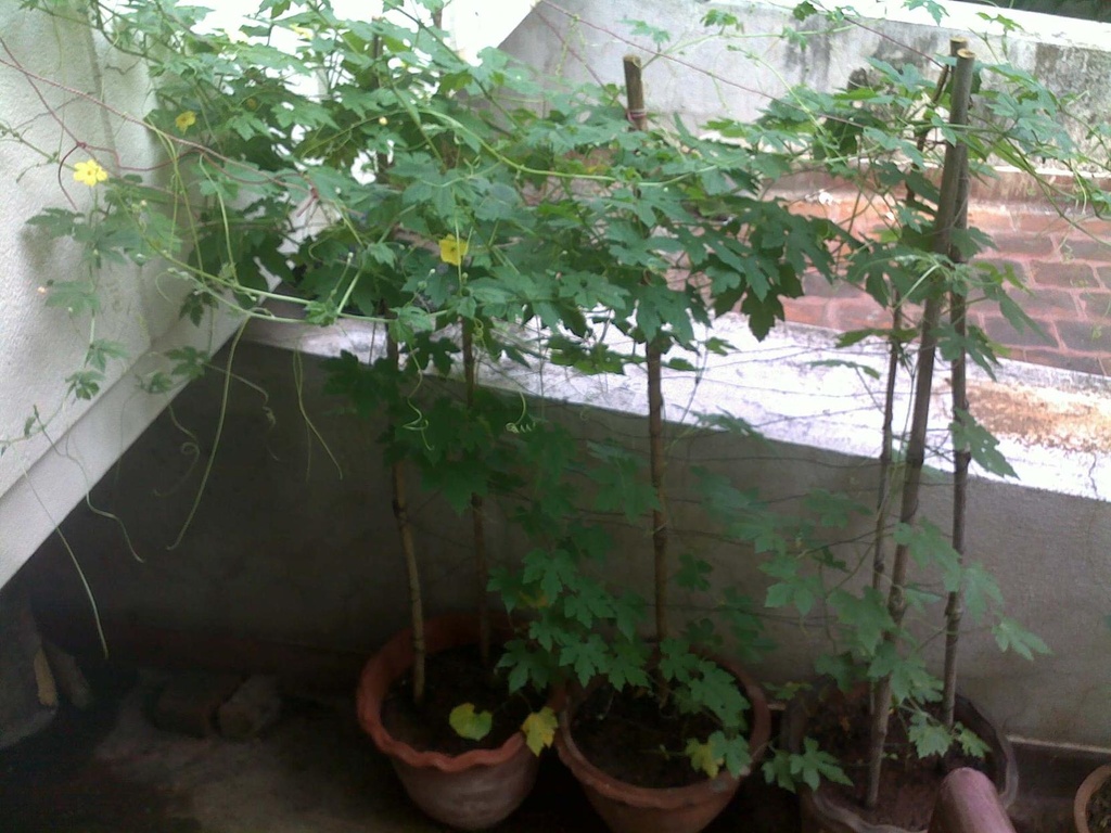 110920112009.jpg