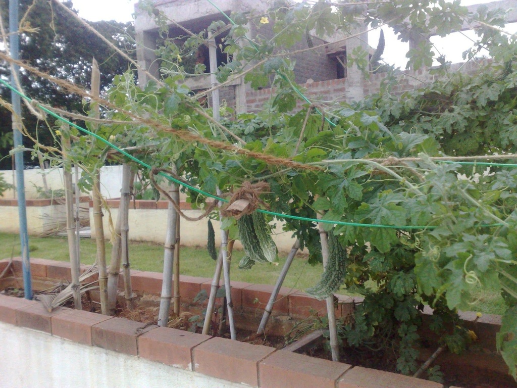 250820121765.jpg