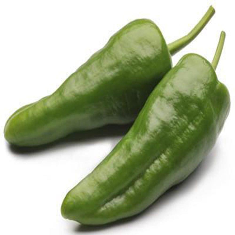 Big-Chilli_41450da1-1ffe-4db9-98b3-ae6ebfb42bfe.jpg