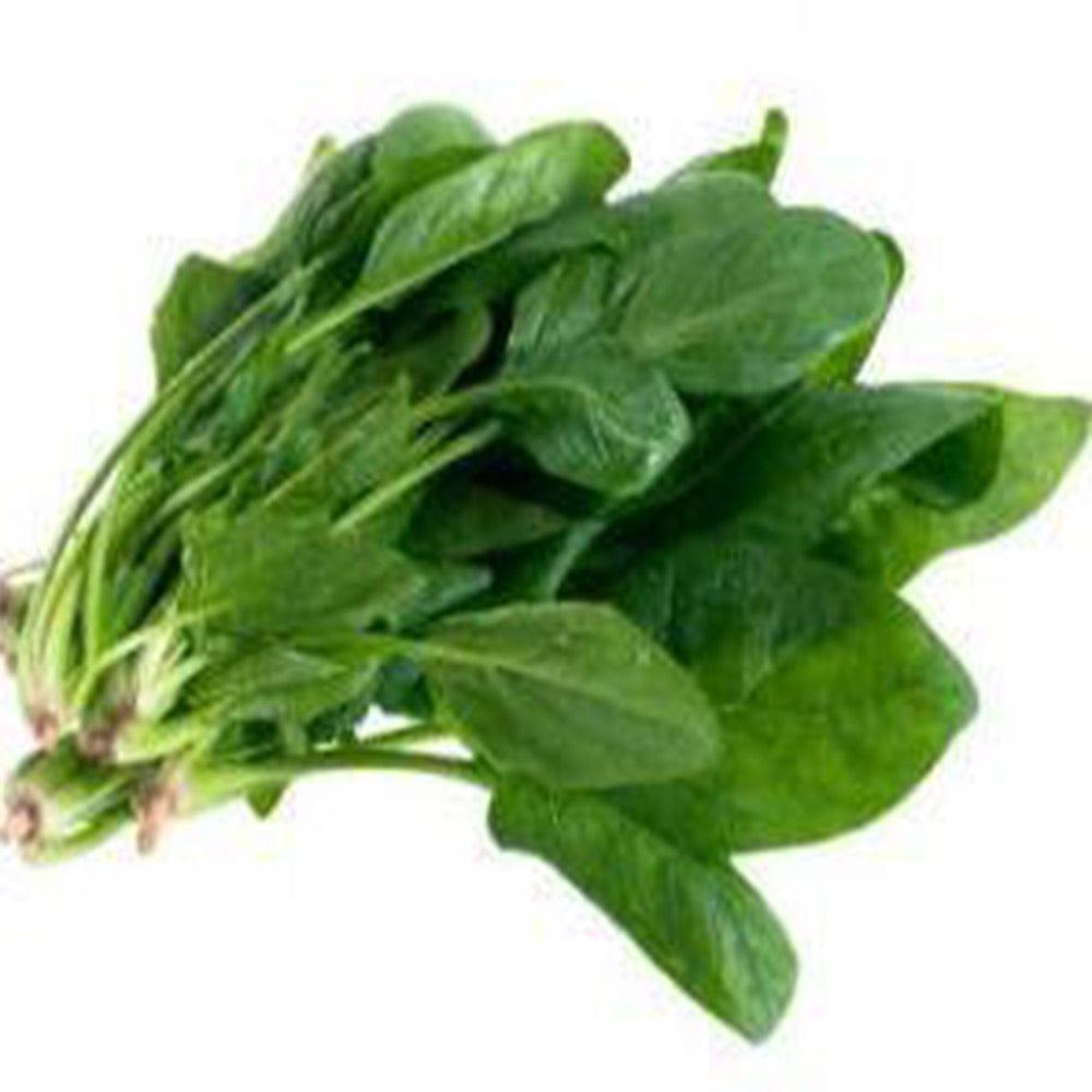 palak.jpg