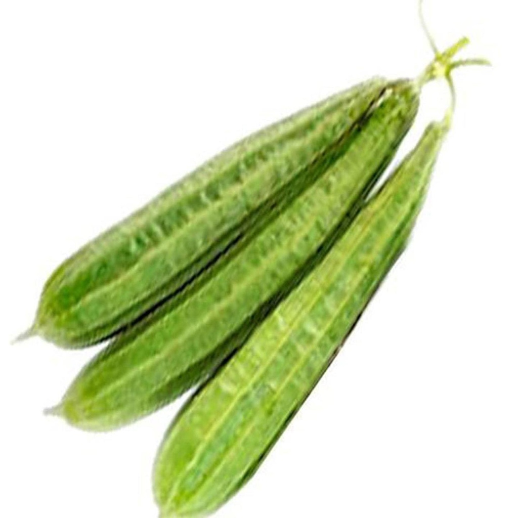 Ridge-Gourd_1024x1024_c591f6d9-9978-4a76-af37-753e42795966.jpg