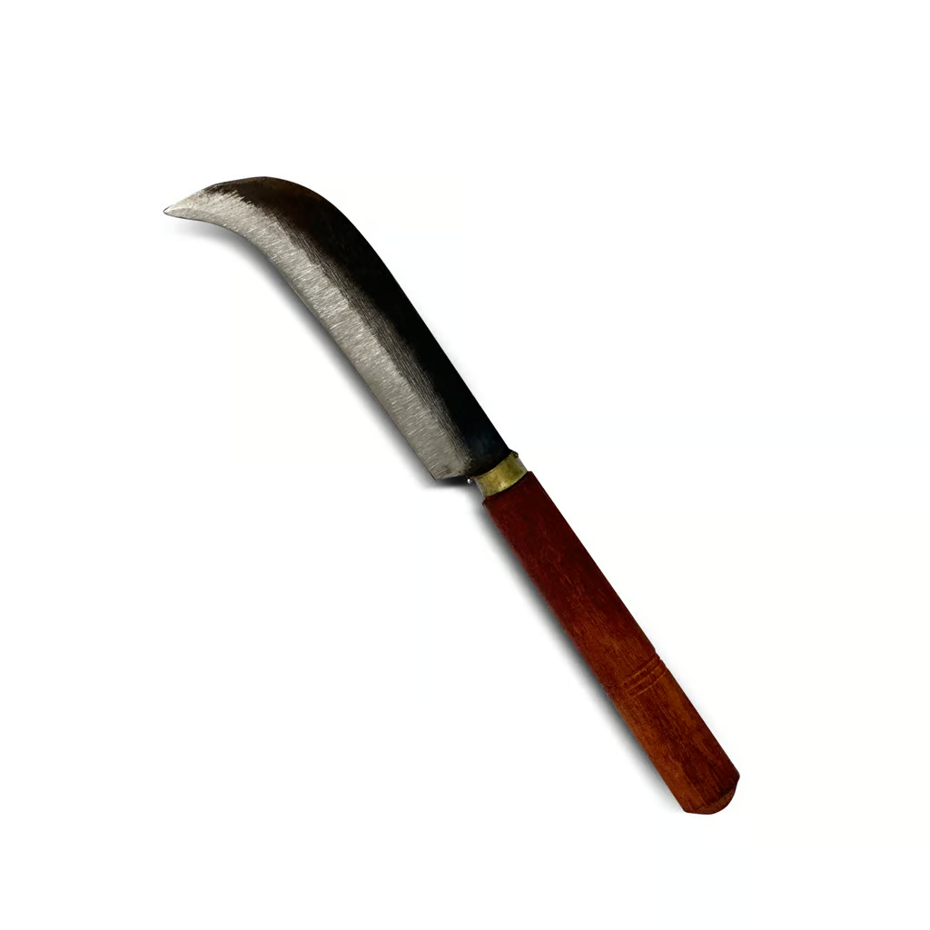dji_20230217_164714_288-1024x1024.png