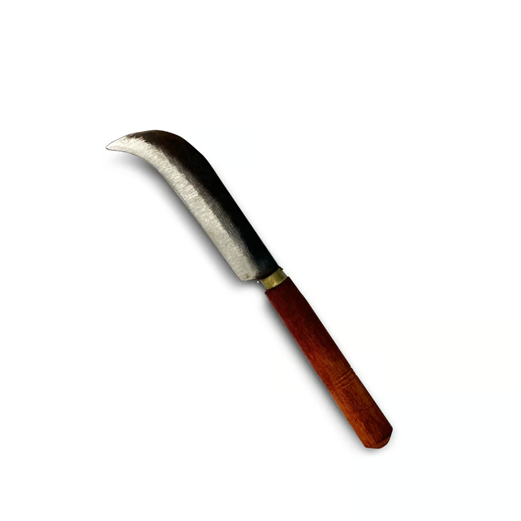 dji_20230217_164726_304-1024x1024.png