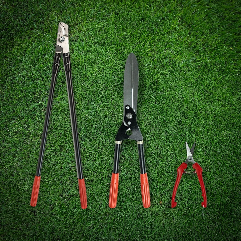 [T3974] Gardening Tools Kit for Home Garden | Looper, Shear & Pruner Set