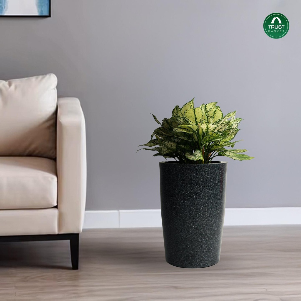[T3849] Bloom Nest Pot Big Size Flower Pot for Living Room & Garden (18 inch)