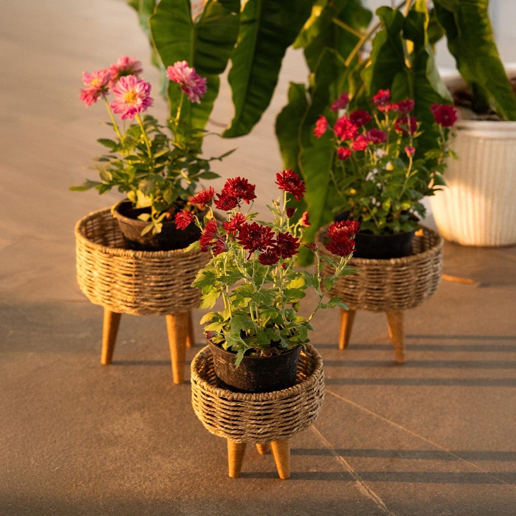 [T3845] Jute Planters Set of 3 – Stylish Jute Planters for Indoor Plants