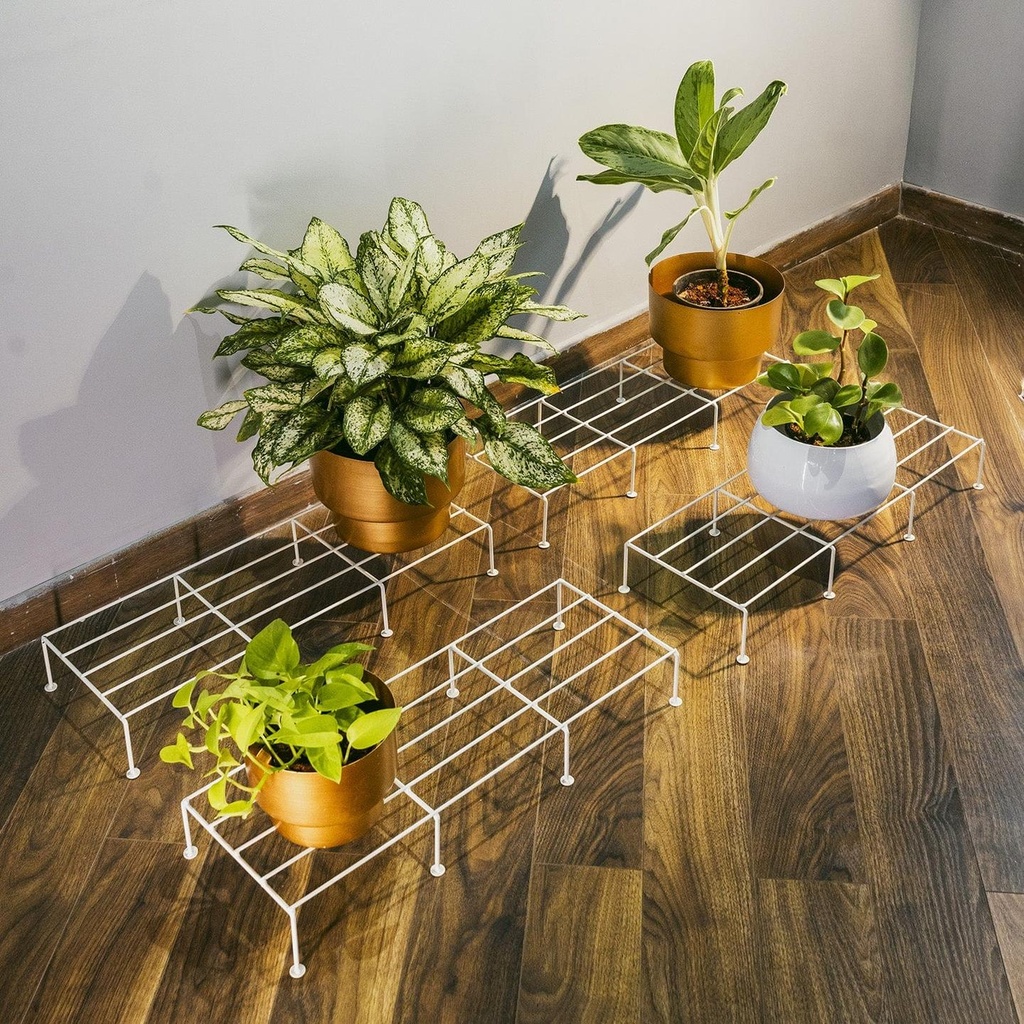 [T3901] Bold Plant Stand - Set of 4 (White)