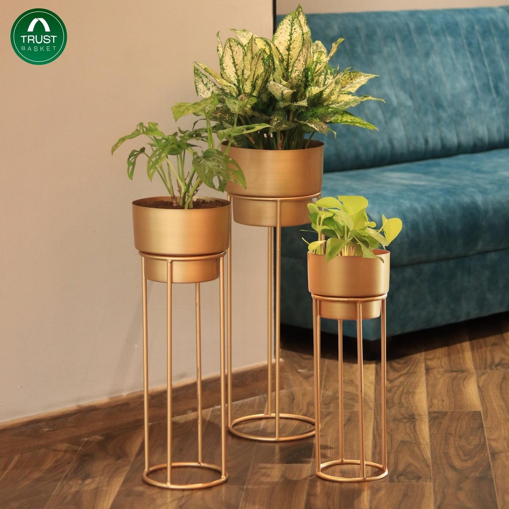 [T3794] Gold Metal Planters - Pack of 3