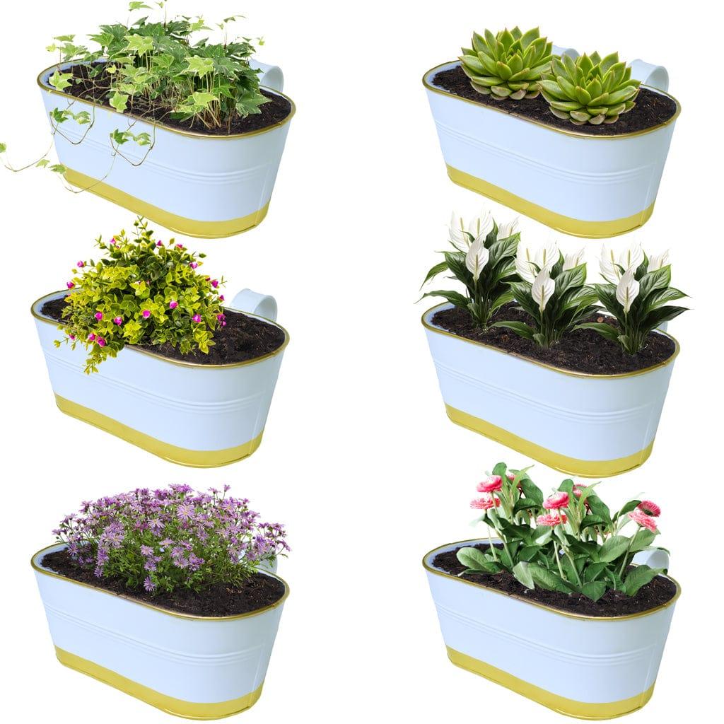 [T3689] TrustBasket 12 inches Railing Planters for Balcony, outdoor oval metal plant pots for railing, pack of 6 (White & Gold colour)