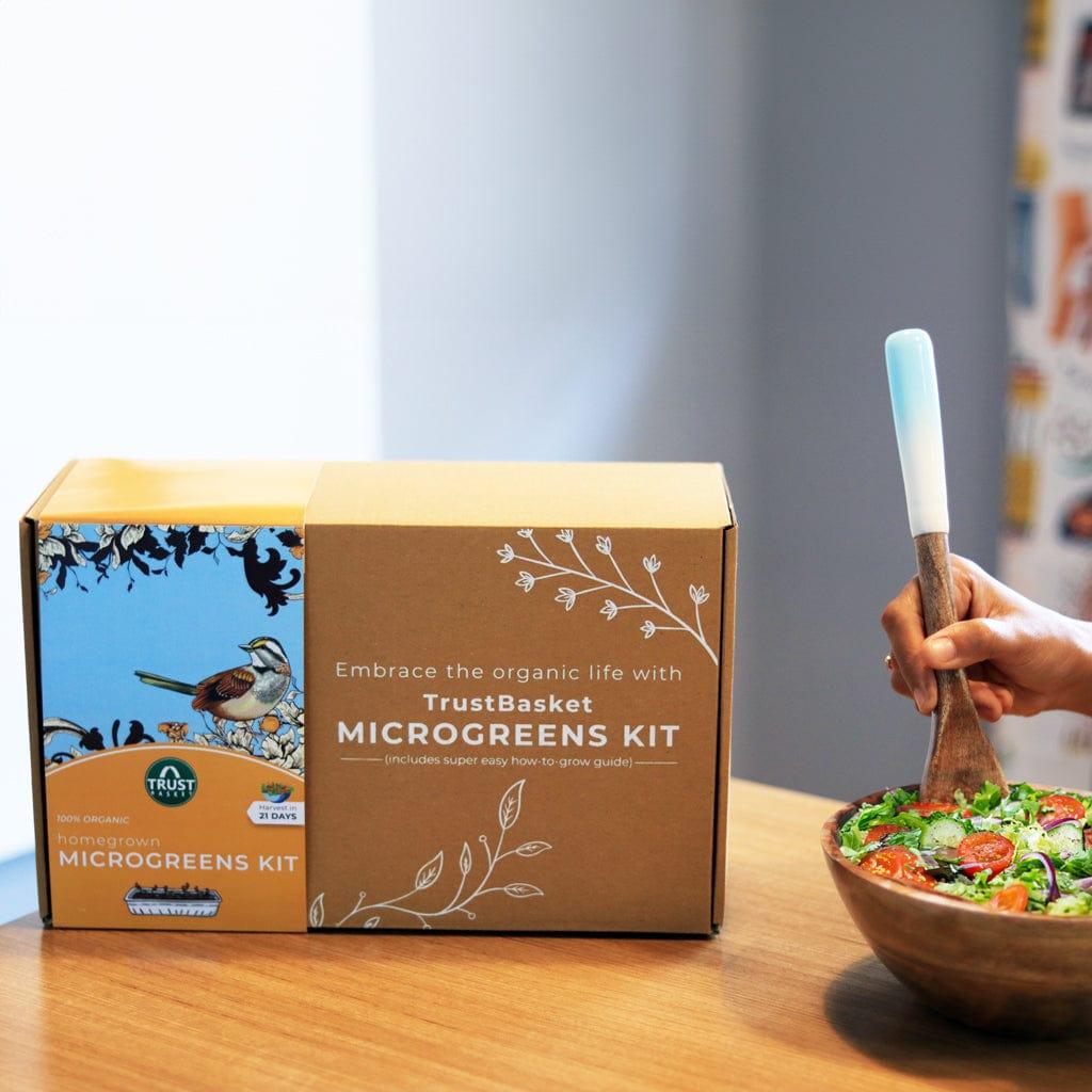 [T3624] Homegrown Microgreens Kit (Set of 1)