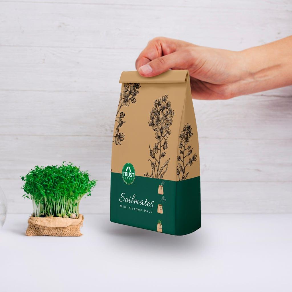 [T3623] Soilmates Mini Garden Pack (Set of 1)