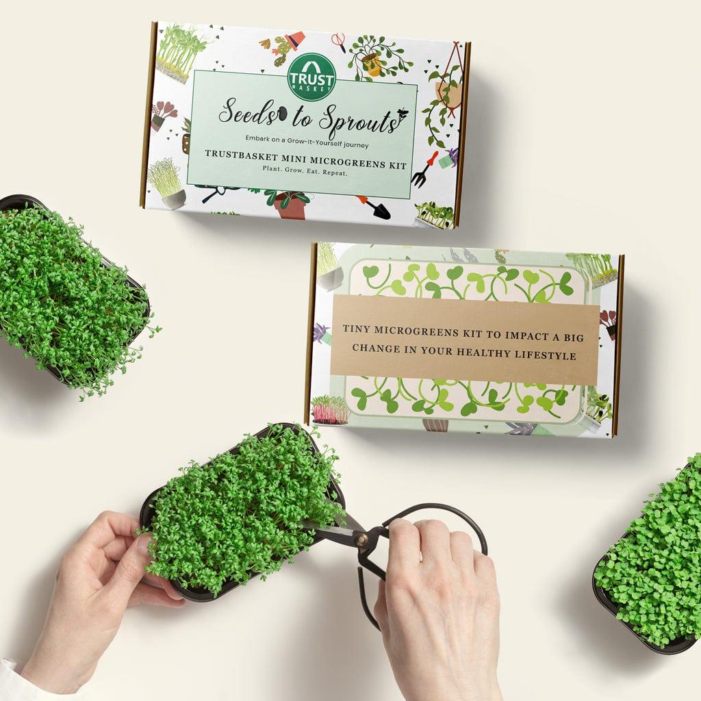 [T3618] Seeds To Sprouts Microgreens Kit (Set of 1)