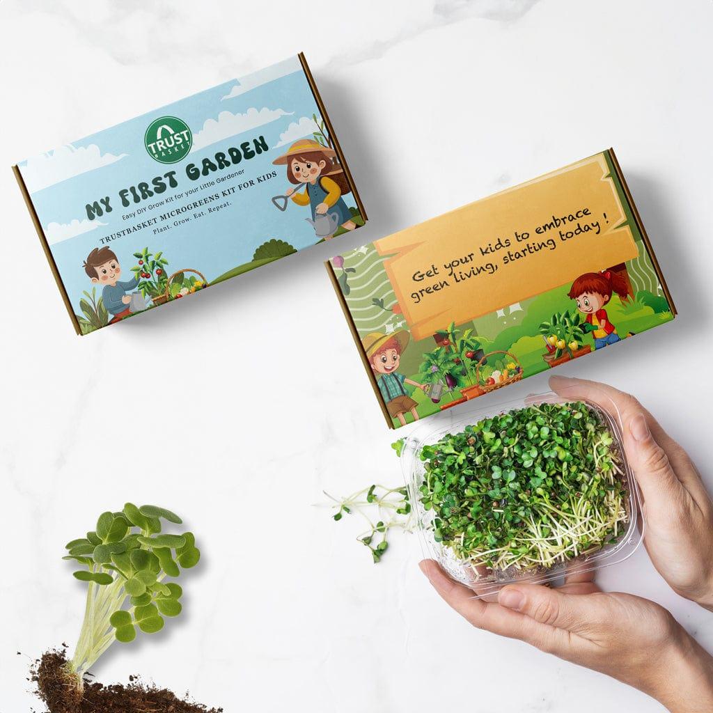 [T3617] My First Garden Microgreens Kit for kids (Set of 1)