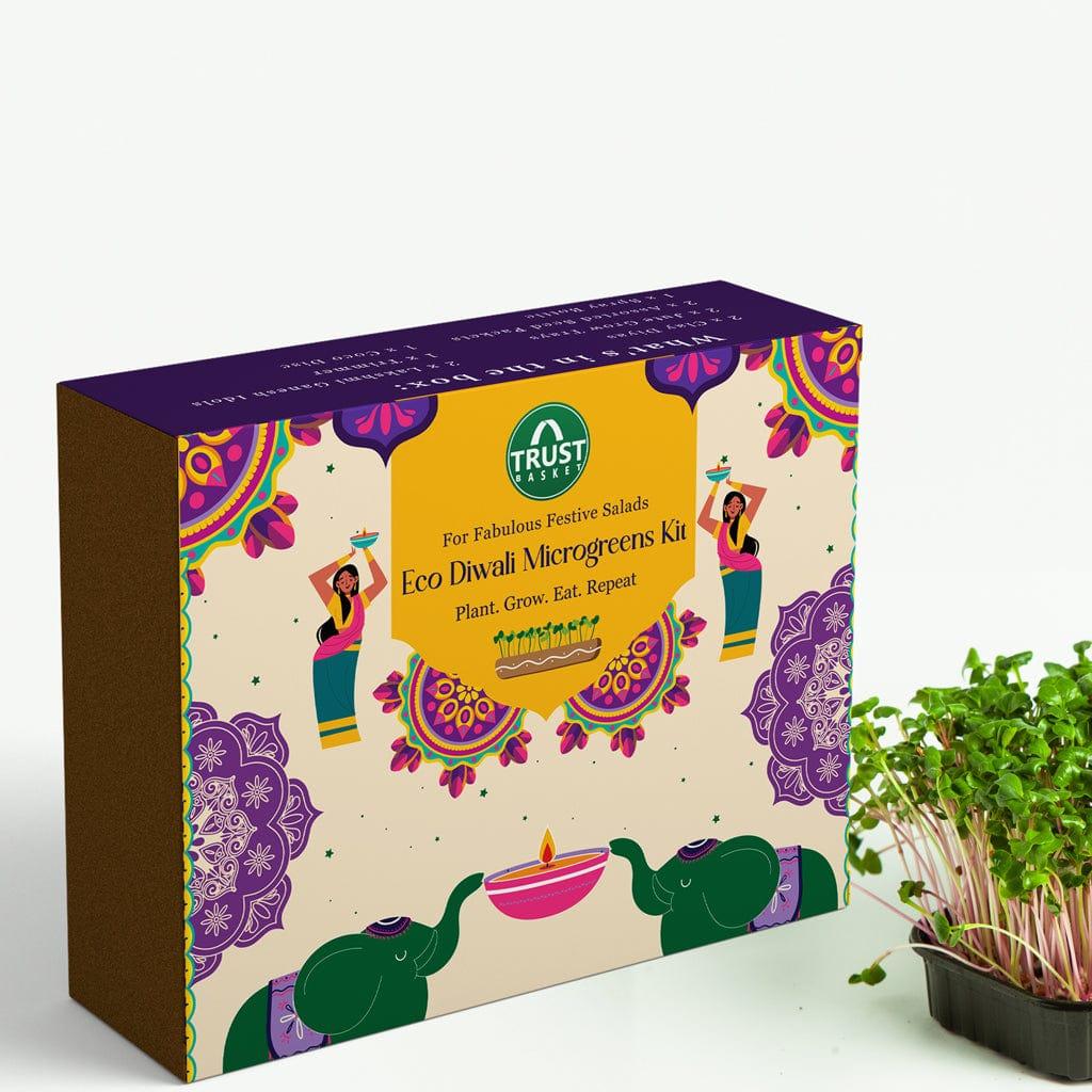 [T3619] Eco-Diwali Microgreens Kit - Festive Gift Box for Diwali (Set of 1)