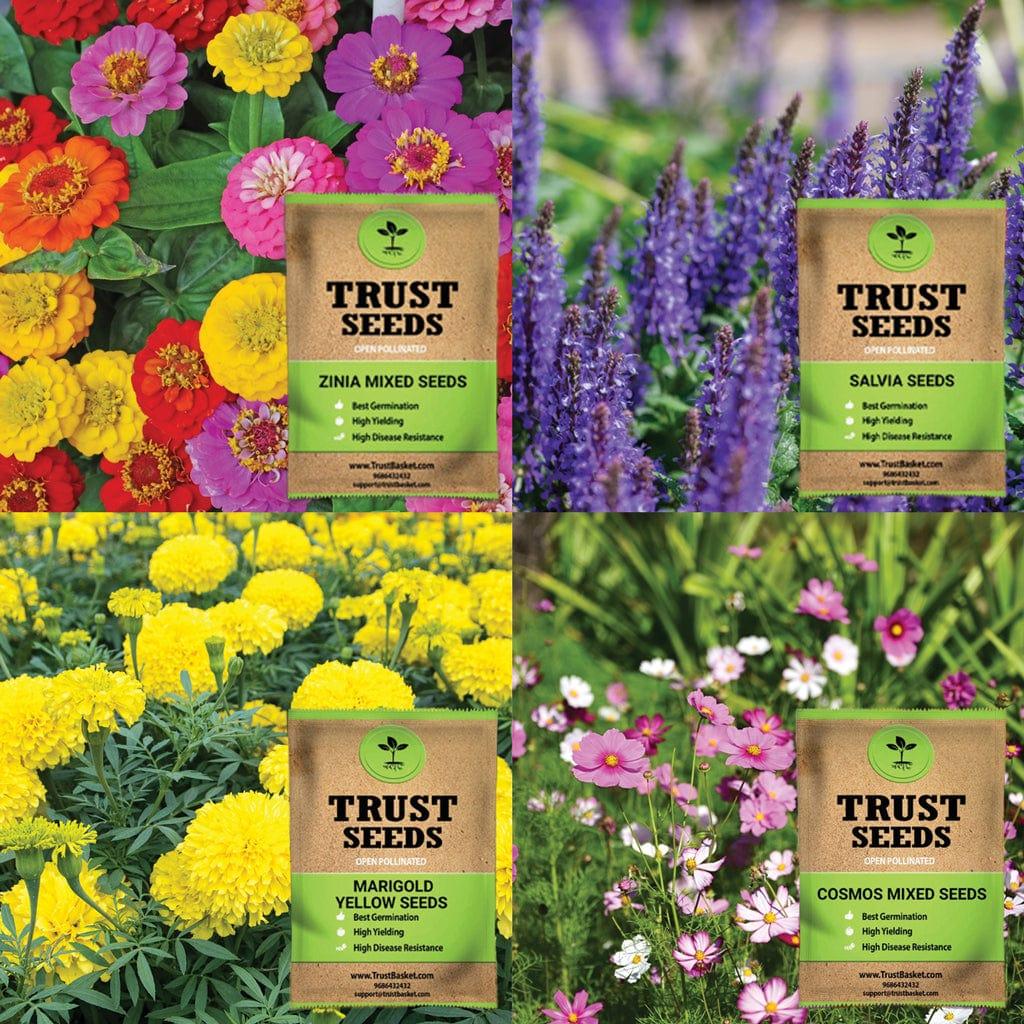 [T3639] Seeds Combo (Pollinator Paradise)
