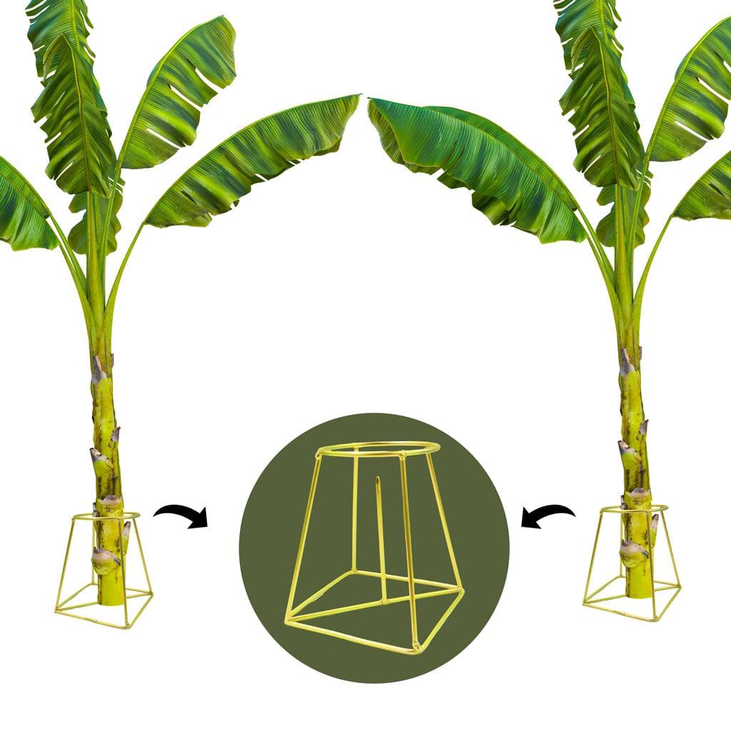 [T3570] TrustBasket Banana Stand / Holder For Pooja (Gold, Set of 2)