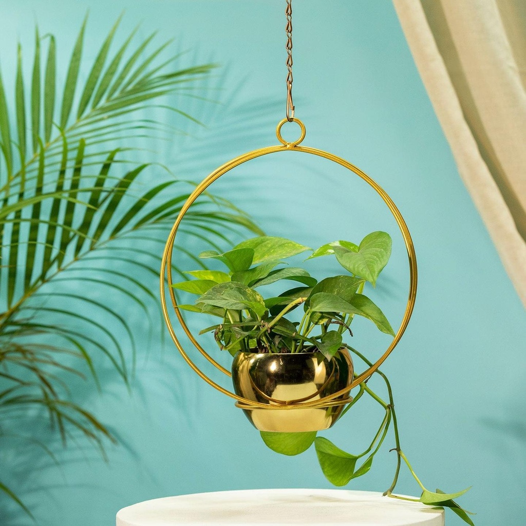 [T3449] TrustBasket Lunar Eclipse Metal Hanging Planter (Set of 1)