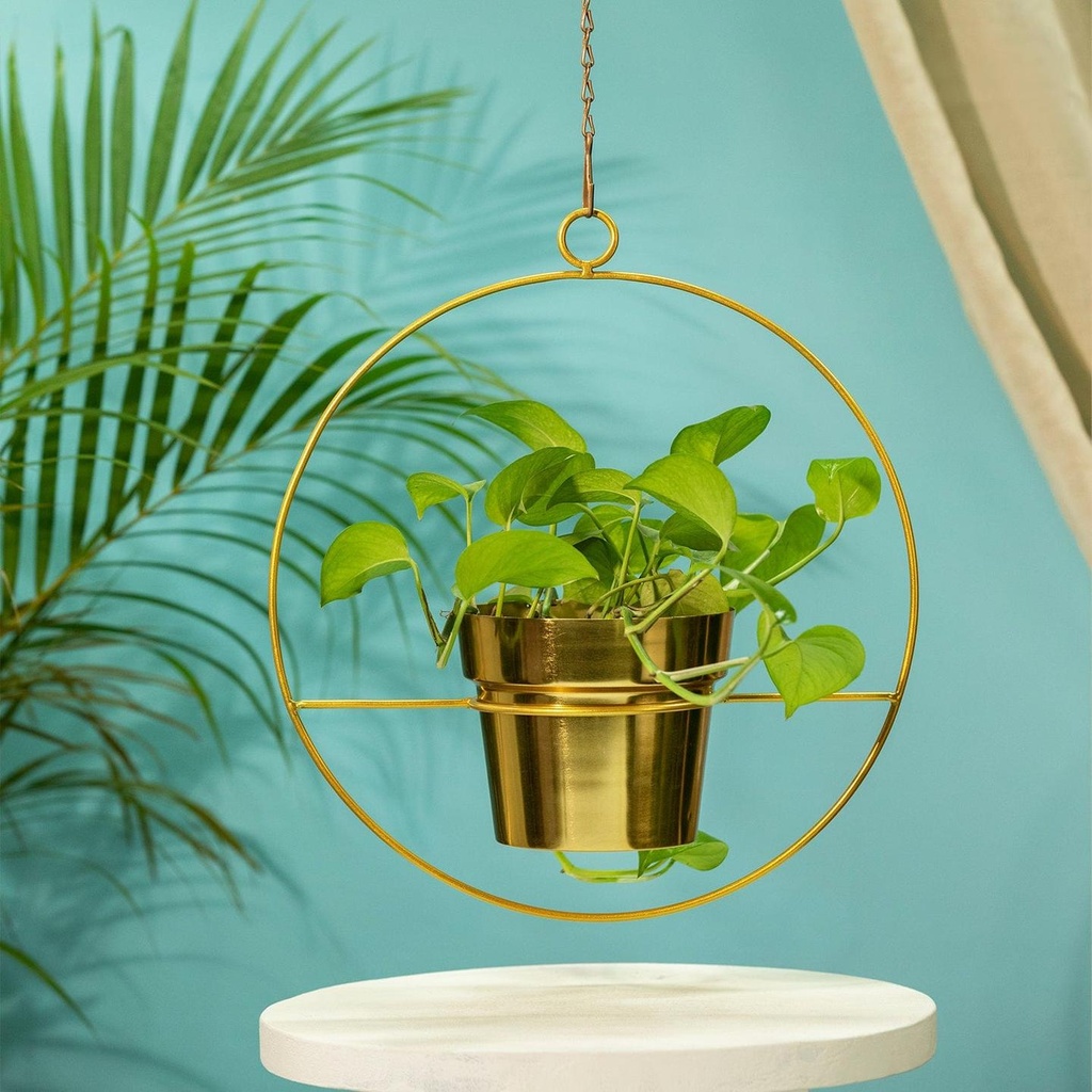 [T3450] TrustBasket Luna Metal Hanging Planter (Set of 1)