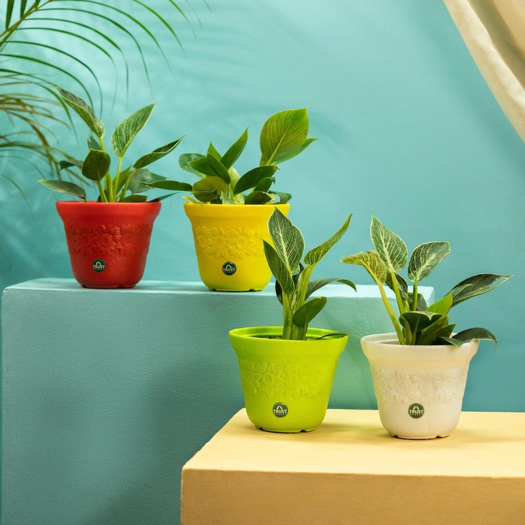 [T3528] TrustBasket Sunny Pot | 6 inch Table Top Planter Pot (Pack of 4) (Set of 4)