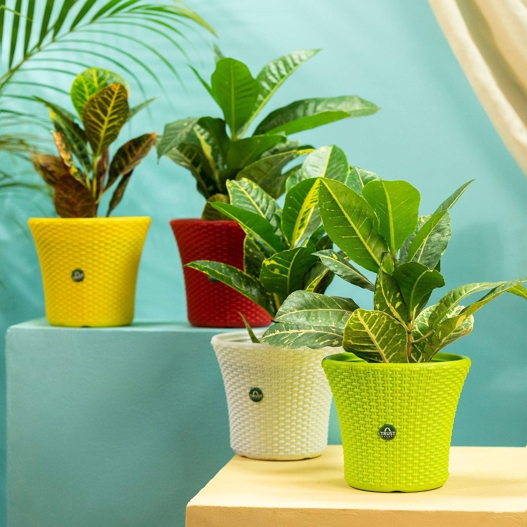 [T3531] TrustBasket Helix Pot 7-inch Table Top Planter Pot (Set of 4)