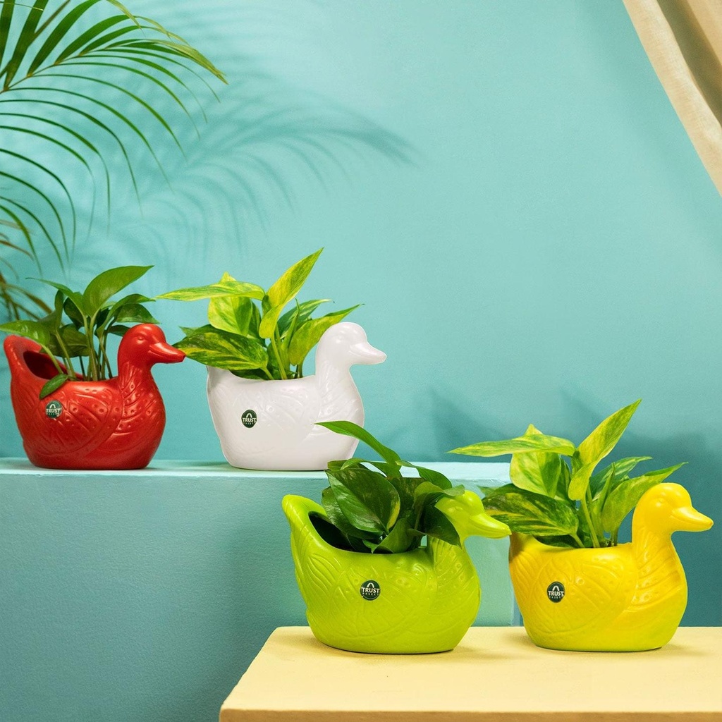 [T3533] TrustBasket Duck Pot Multicolor (Set of 4)