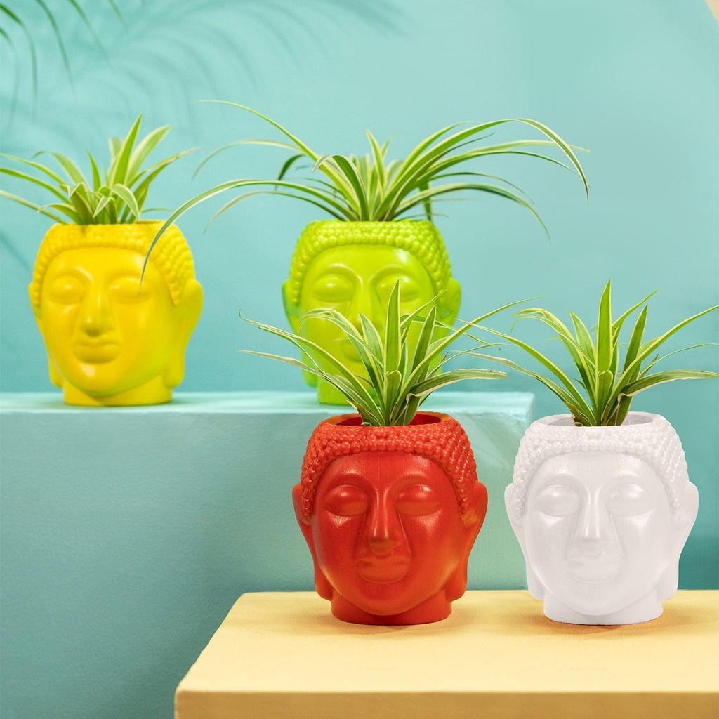 [T3532] TrustBasket Buddha Pot Multicolor (Set of 4)