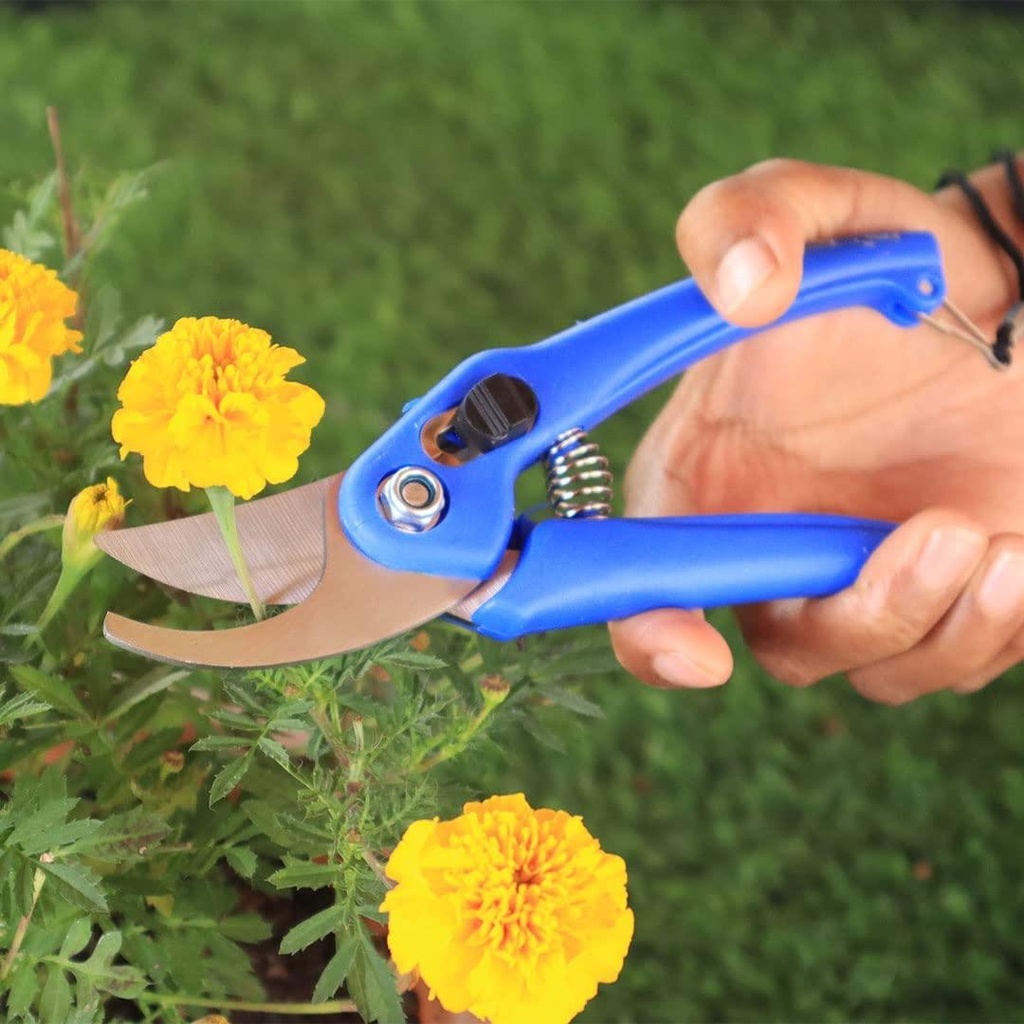 [TBSSS230] TrustBasket Gardening pruner for plants (Gardening scissor)