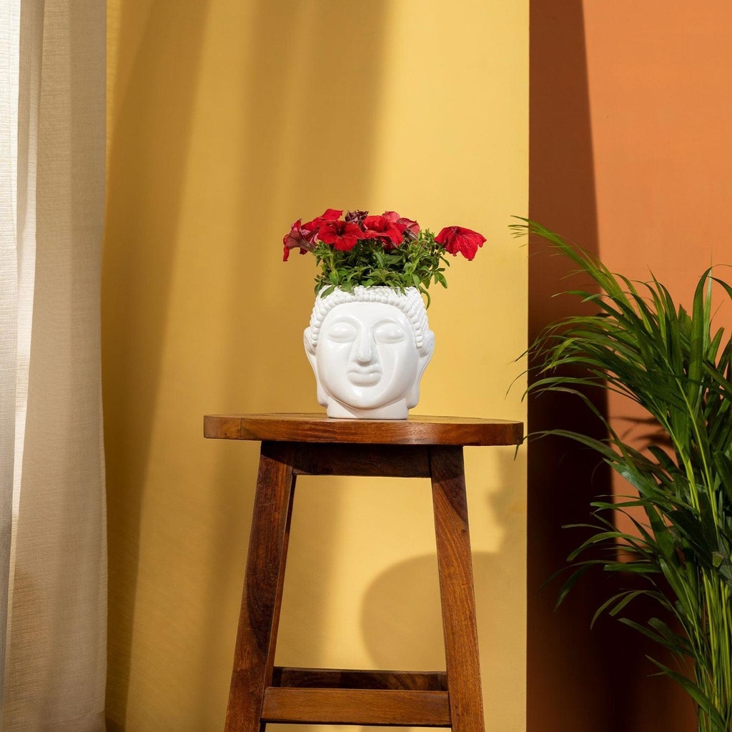 [T3392] TrustBasket Buddha pot (Set of 1)