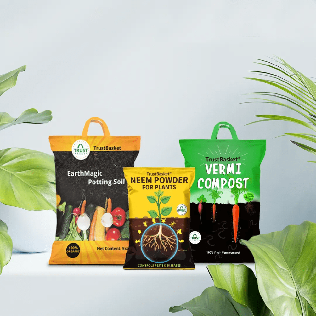[T3406] TrustBasket Healthy Greens Grow Kit