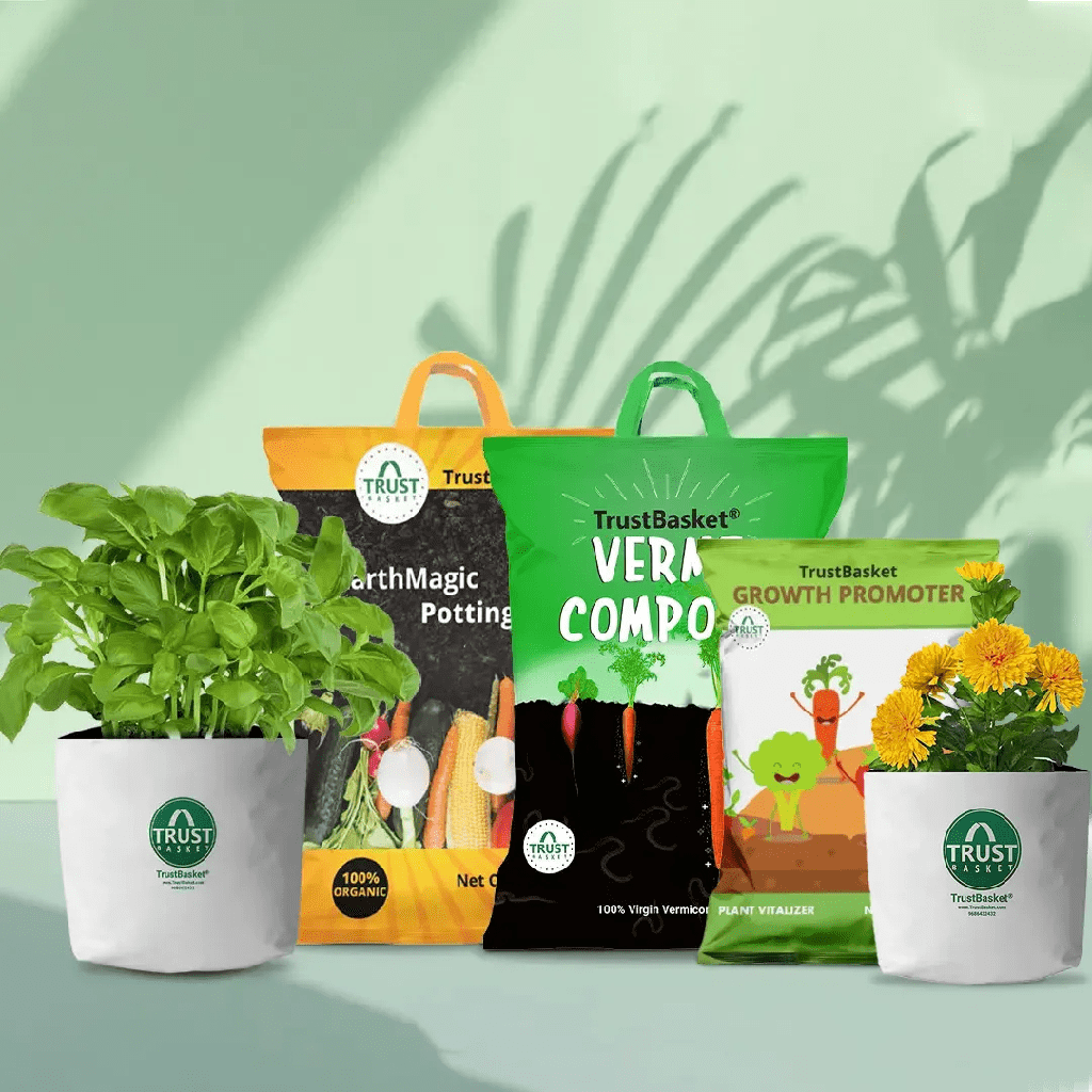 [T3405] Green Goodness Grow Kit (Limited Edition)