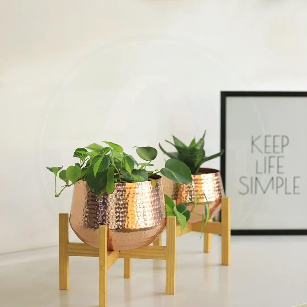 [T3366] Decal Mid Century Stand with Pot