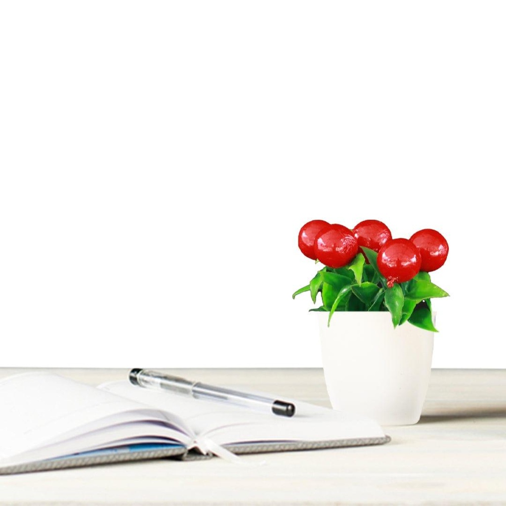 [T3333] Artificial Potted Cherry Shrub